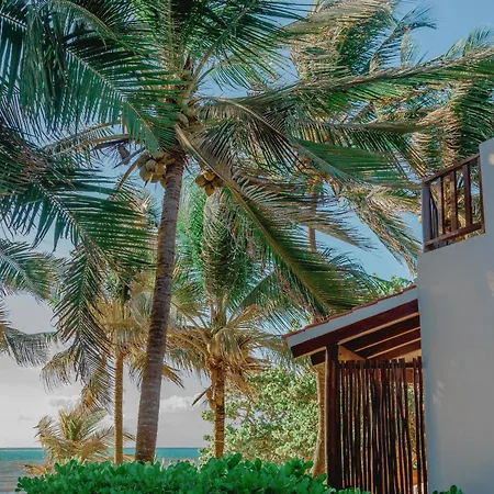 Casa Colibri Tankah