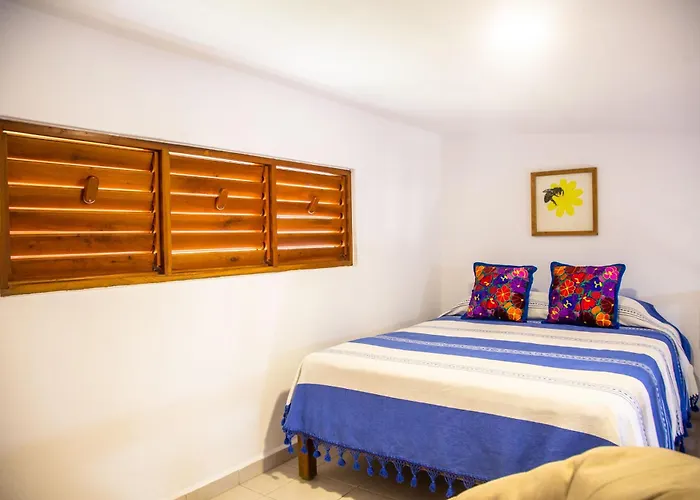 Casa Colibrí Tankah