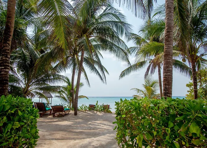 Bed and breakfast Casa Colibrí Tankah Tulum