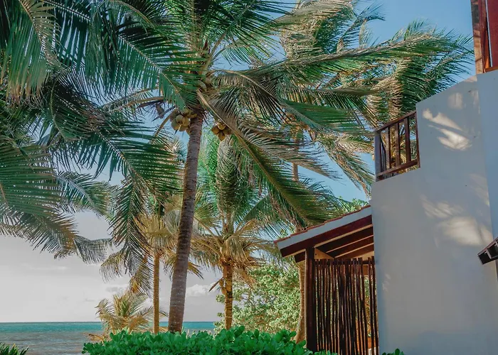 Casa Colibrí Tankah 4* Tulum